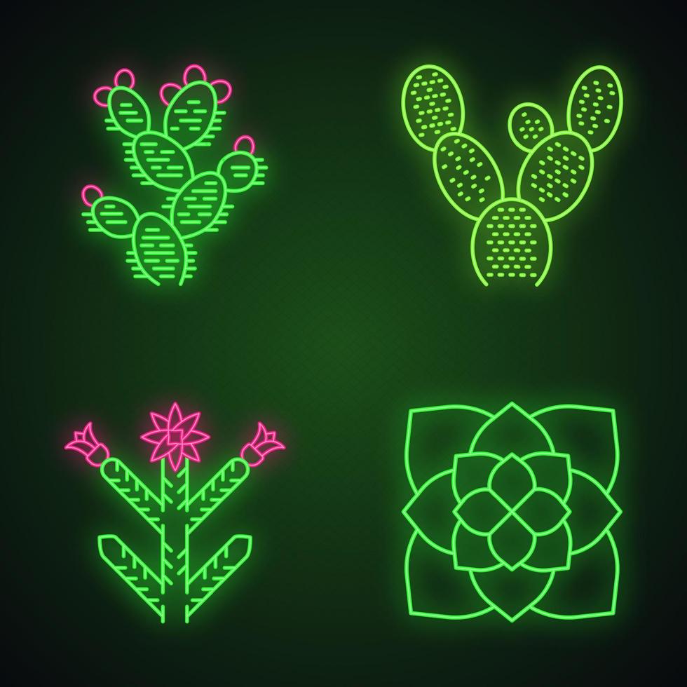 conjunto de iconos de luz de neón de plantas del desierto. flora exótica cactus de oreja de conejo, tuna, cholla, planta fantasma. suculentas americanas. signos brillantes. Ilustraciones de vectores aislados