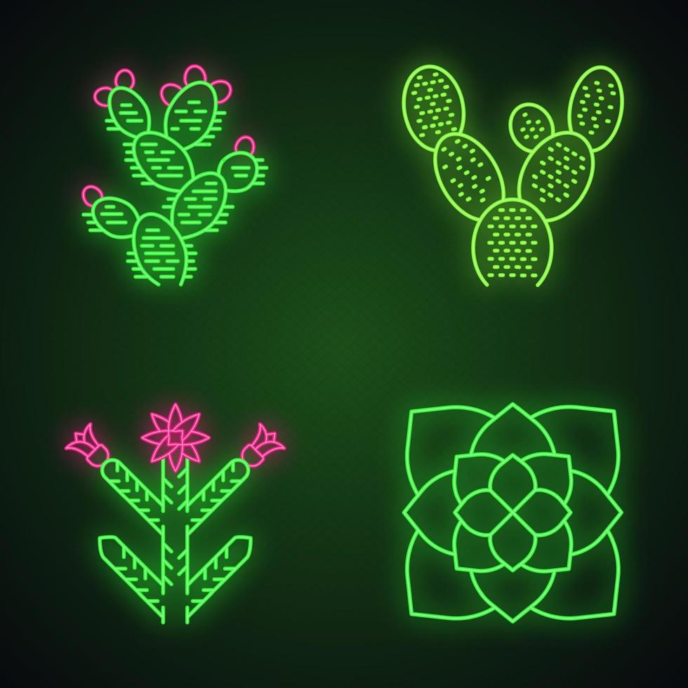 Desert plants neon light icons set. Exotic flora. Bunny ear cactus, prickly pear, cholla, ghost plant. American succulents. Glowing signs. Vector isolated illustrations