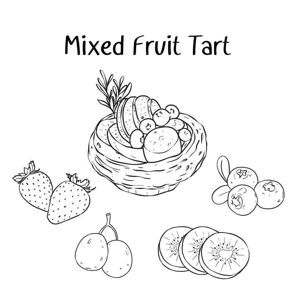 Mixed Fruit Tart Sketch Line vector