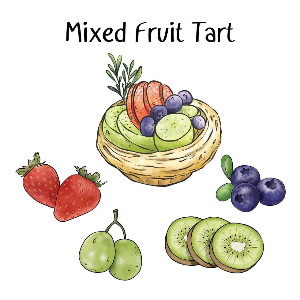 Mixed Fruit Tart vector