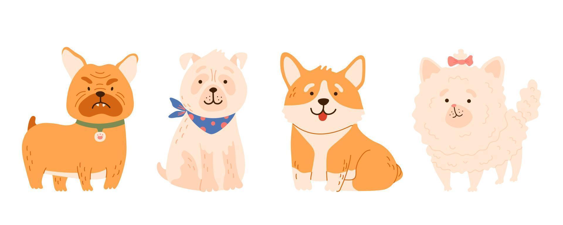 perritos peludos y esponjosos crían pomeranian, pug, bulldog, colección de corgi. juego de cachorros de animales de dibujos animados. ilustración vectorial aislada para la impresión de camisetas, juegos, textiles, iconos de mascotas, diseño infantil. vector