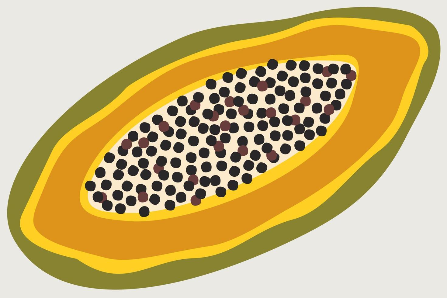 Vector bright illustration of papaya fruit.