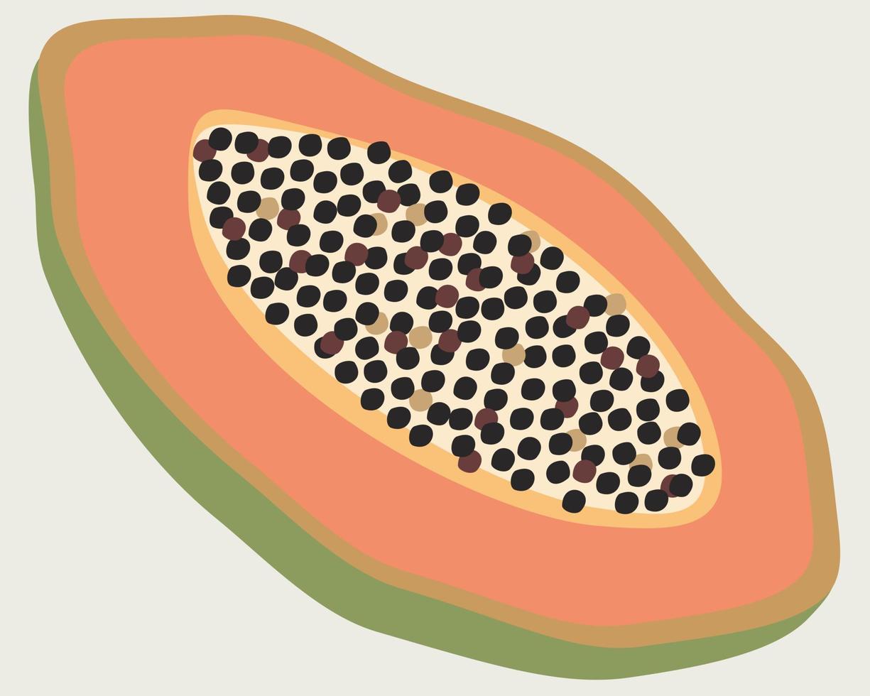 Vector bright illustration of papaya fruit.