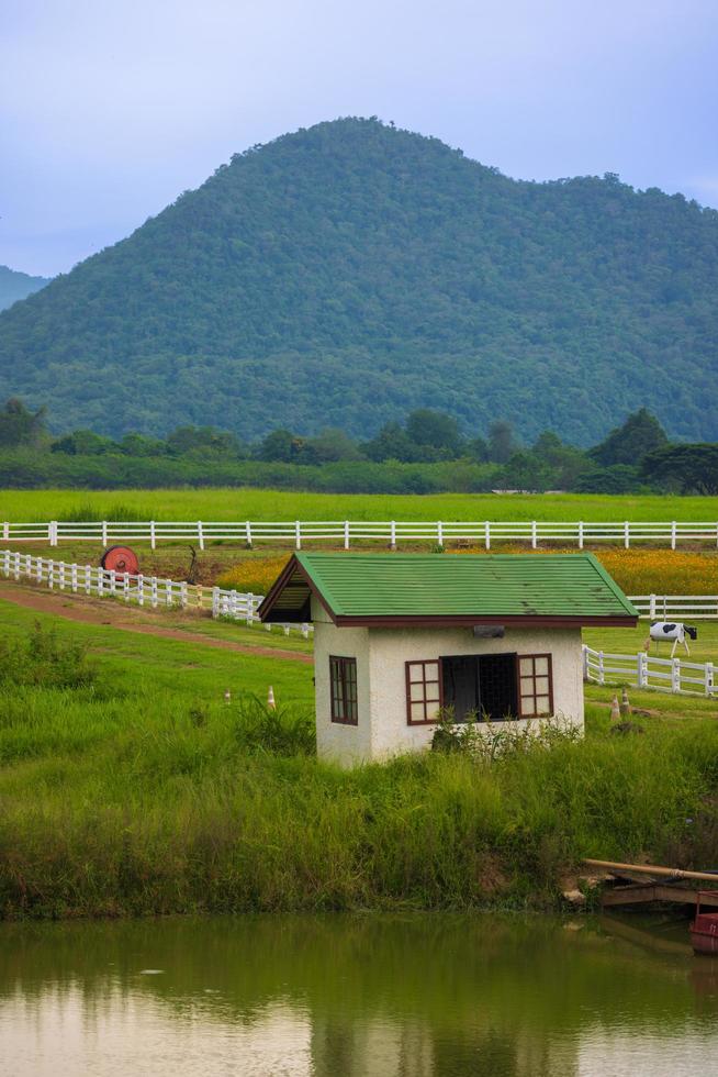 el rancho verde detrás de la montaña tiene un cielo azul brillante. foto