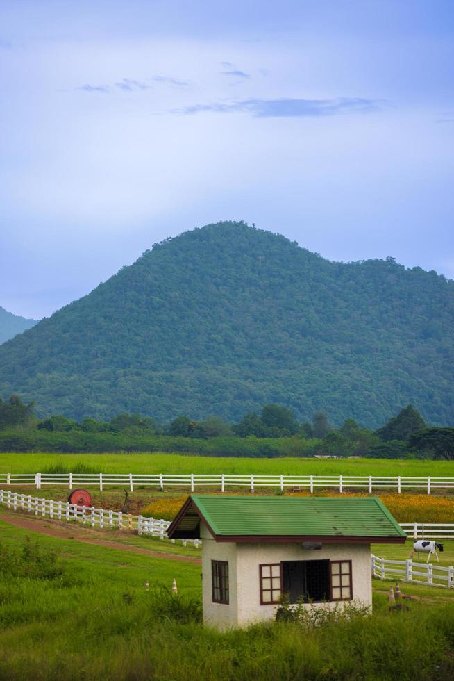 The green ranch behind the mountain has a bright blue sky. photo