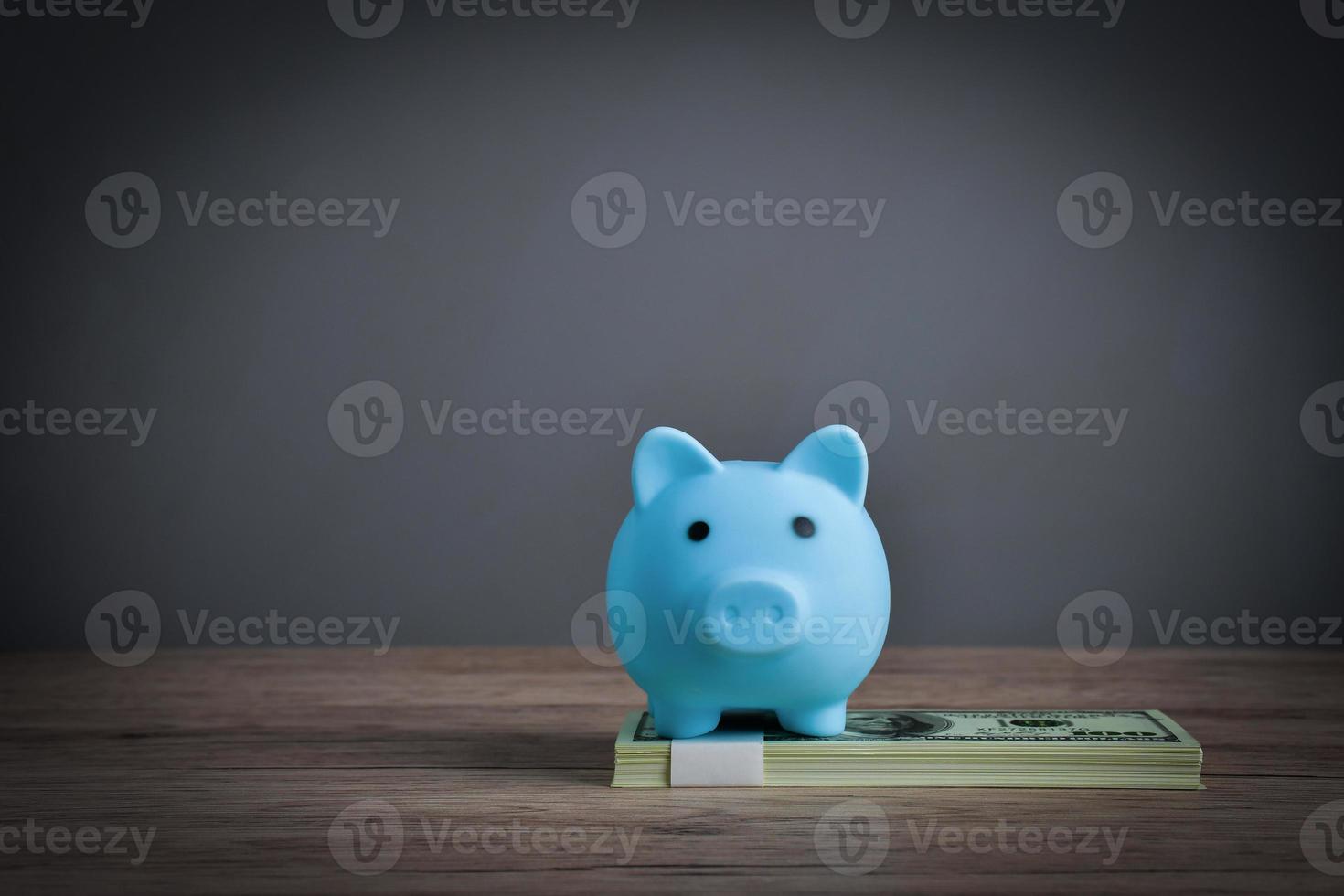 Saving a blue pig on a dollar bill to show wealth through saving money. photo