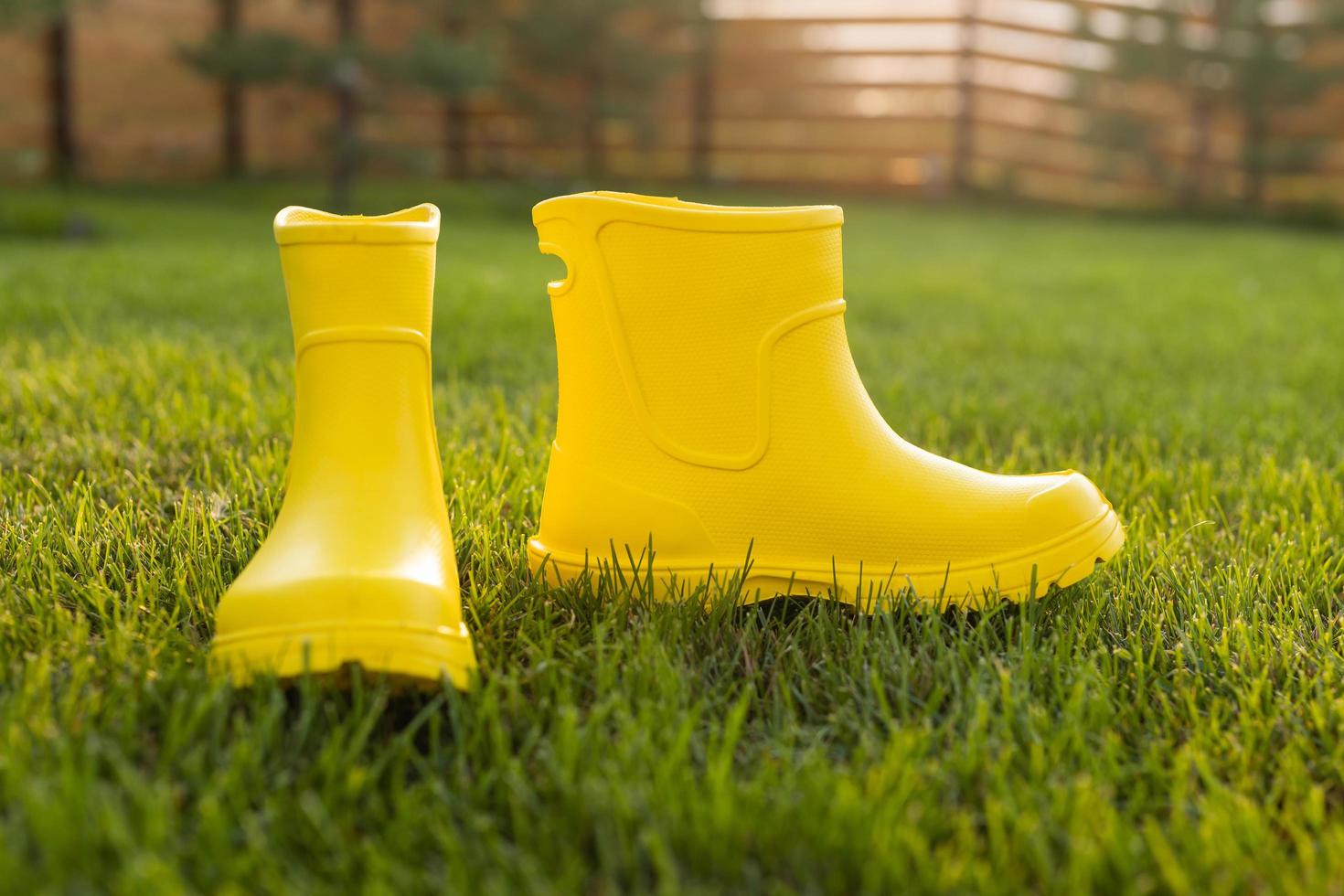 Yellow boots stands on green lawn in spring garden - summer and country life concept photo