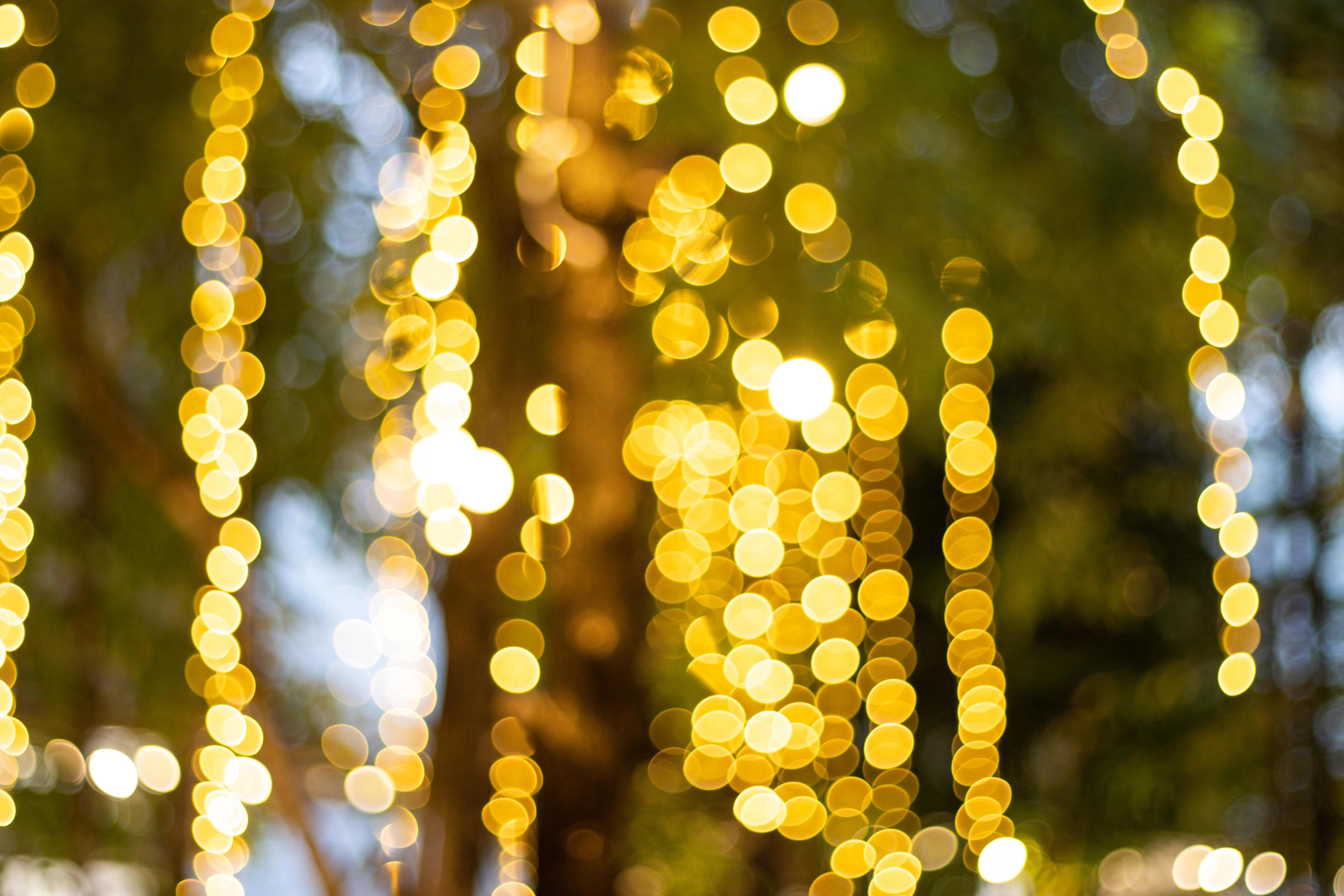 Blur Image Decorative outdoor string lights hanging on tree in the garden at night time 8199442
