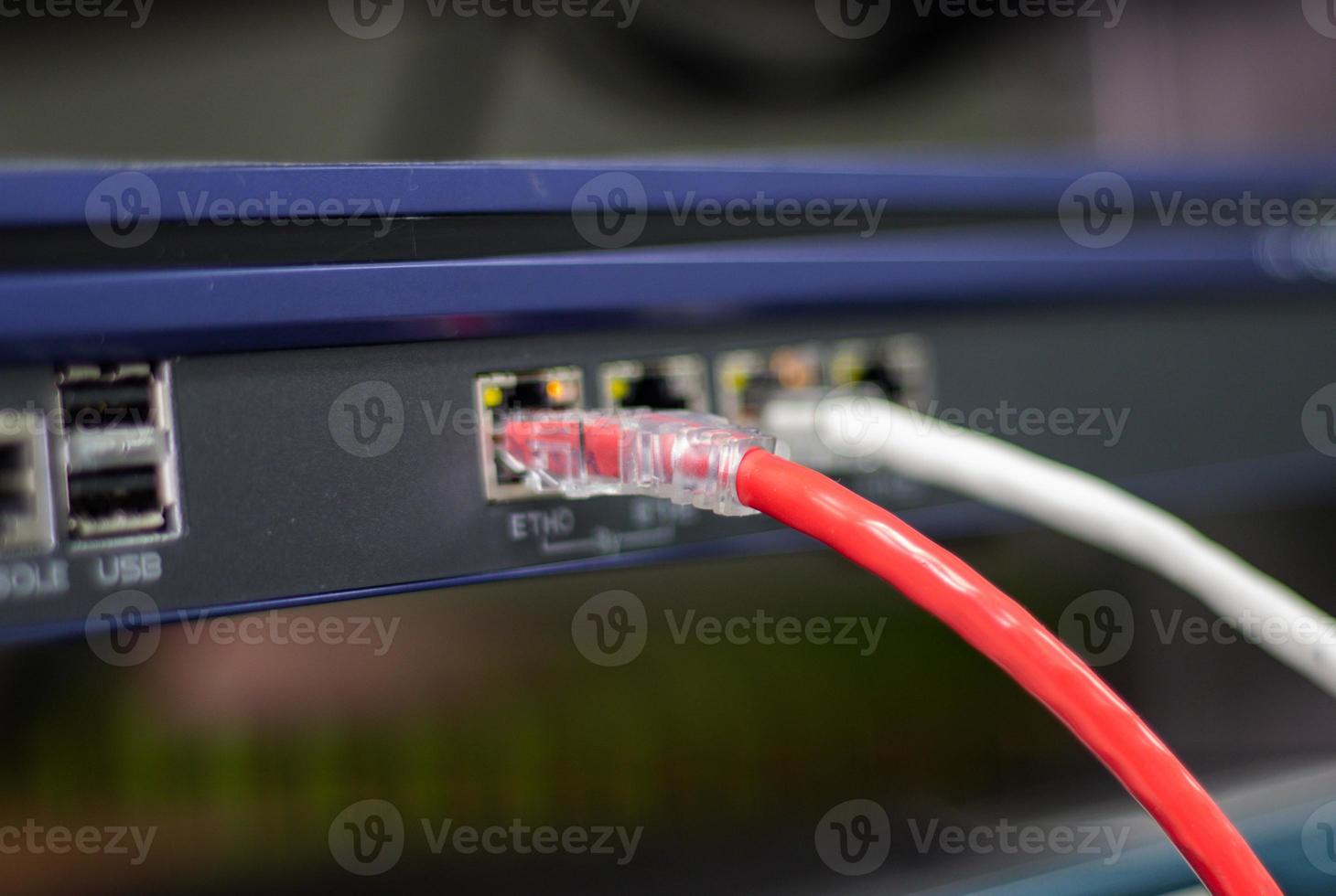The network cables to connect the port of a switch to connect internet network, concept Communication technology photo