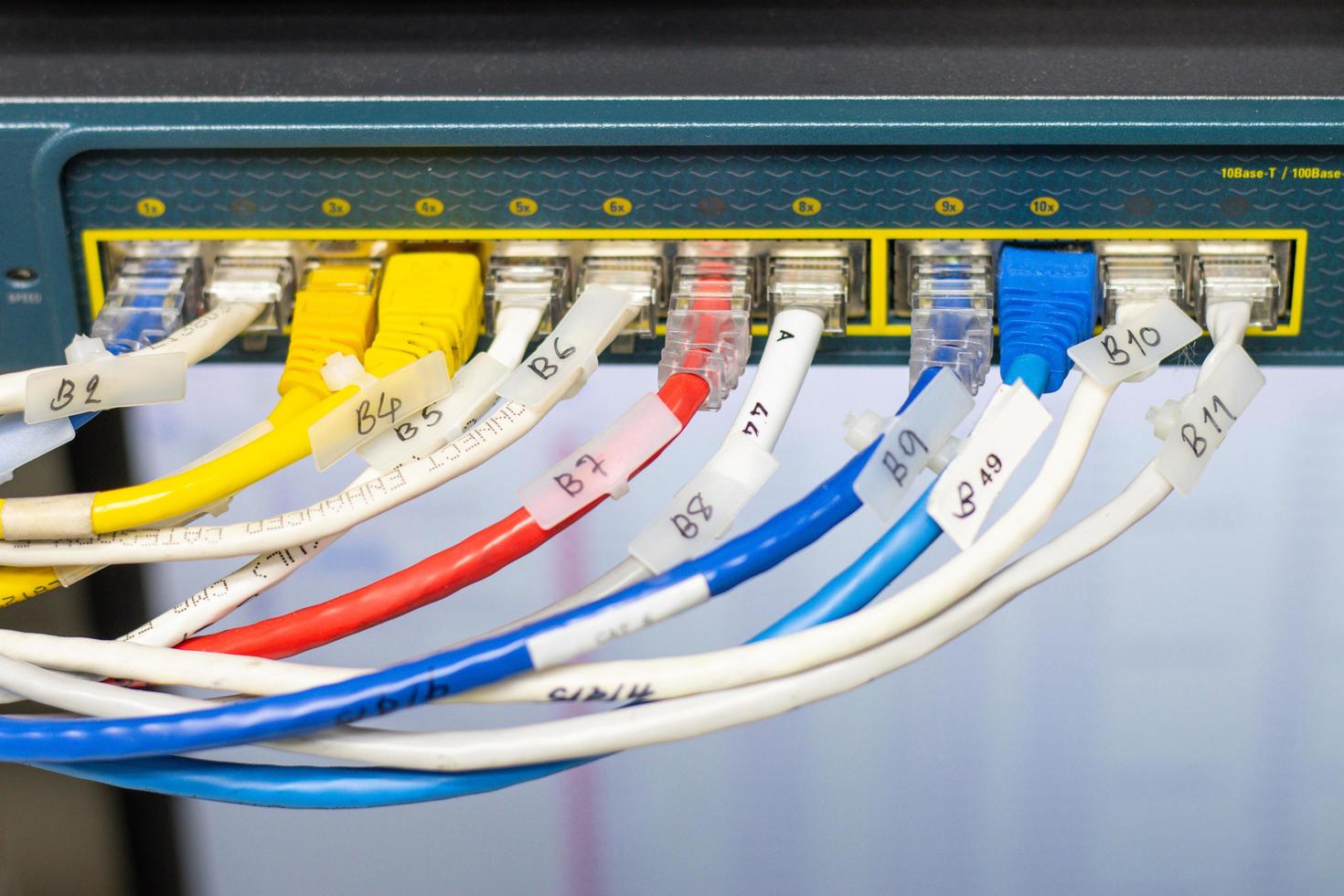 The network cables to connect the port of a switch to connect internet network, concept Communication technology photo