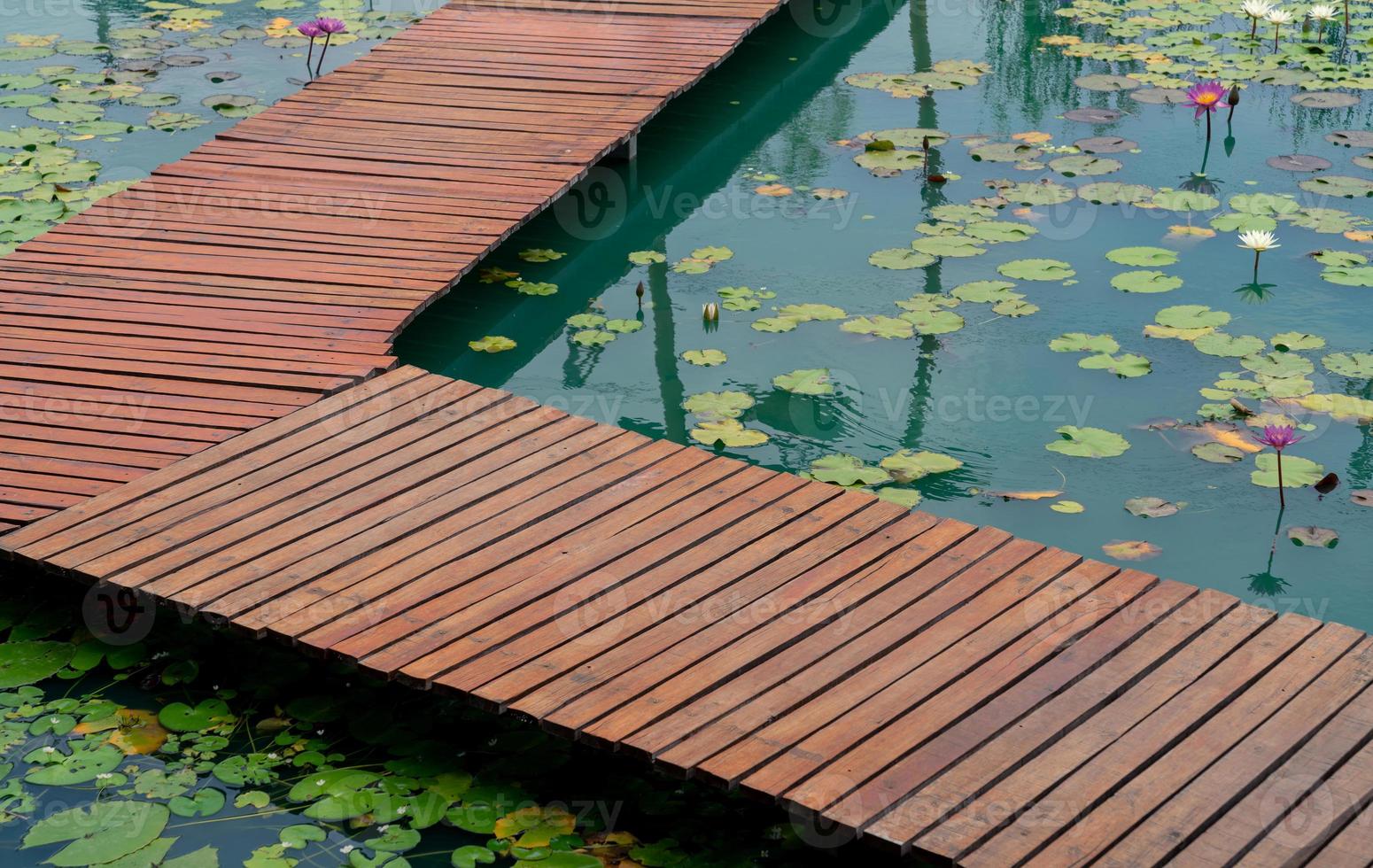 closeup wooden bridge walk path over lotus pond photo