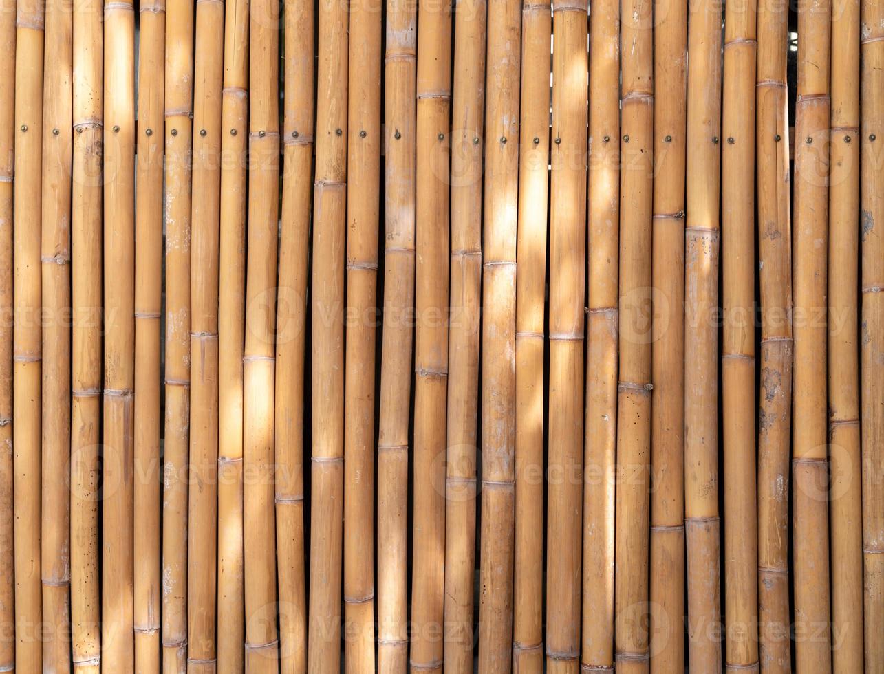 large image of yellow bamboo poles wall, natural light spot on bamboo fence texture backdrop photo