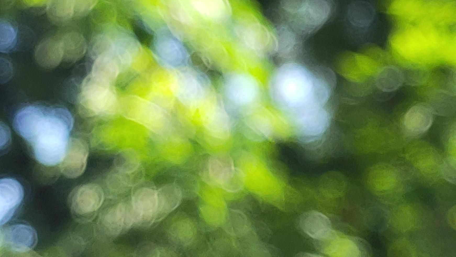 Bokeh abstract blurred nature trees green refreshing background suitable for text fill graphic design decorative agriculture photo