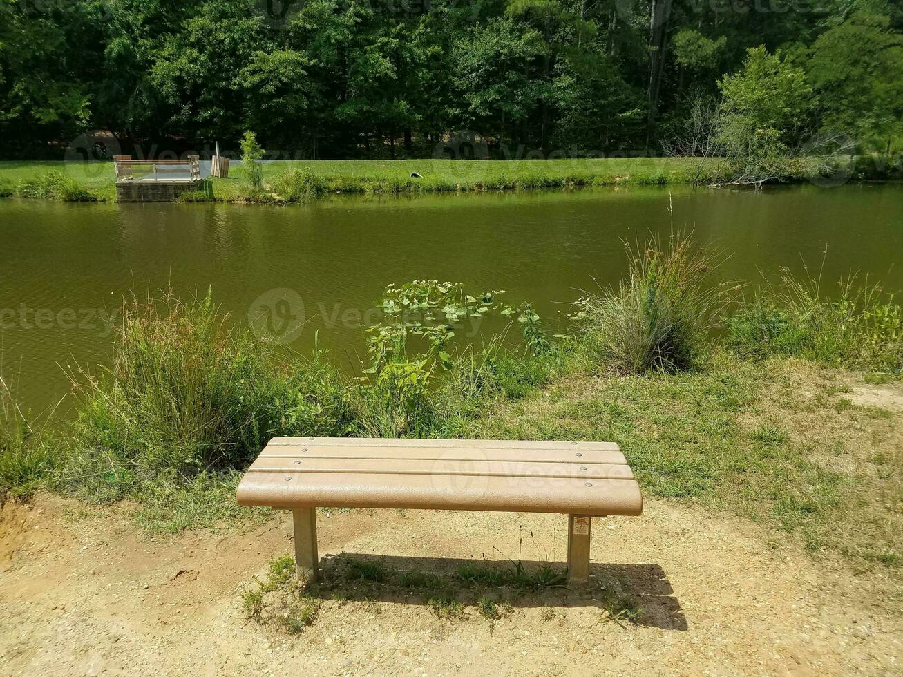 bench overlooking a pond photo