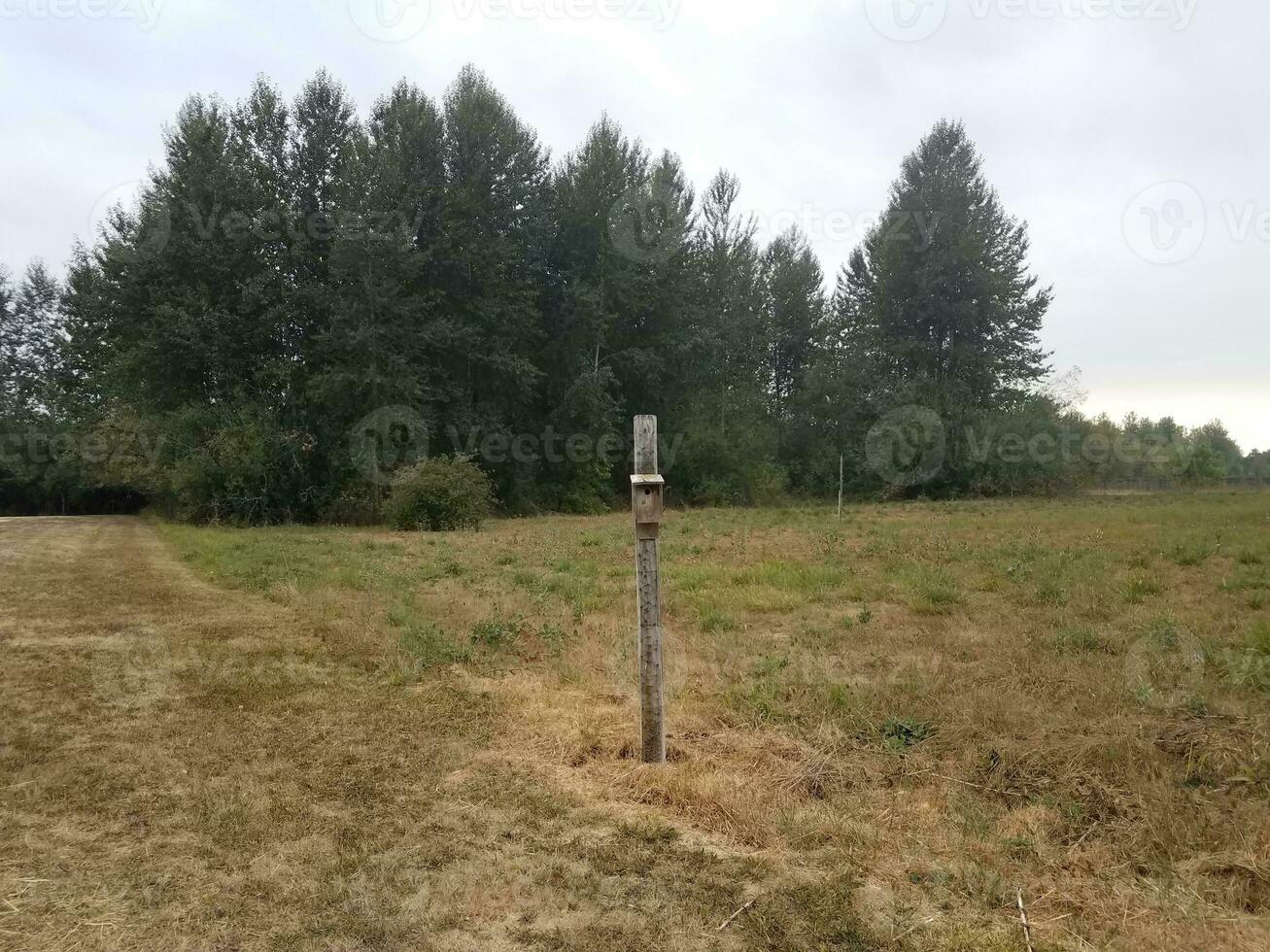 wood bird feeder or house on pole in field with grass photo