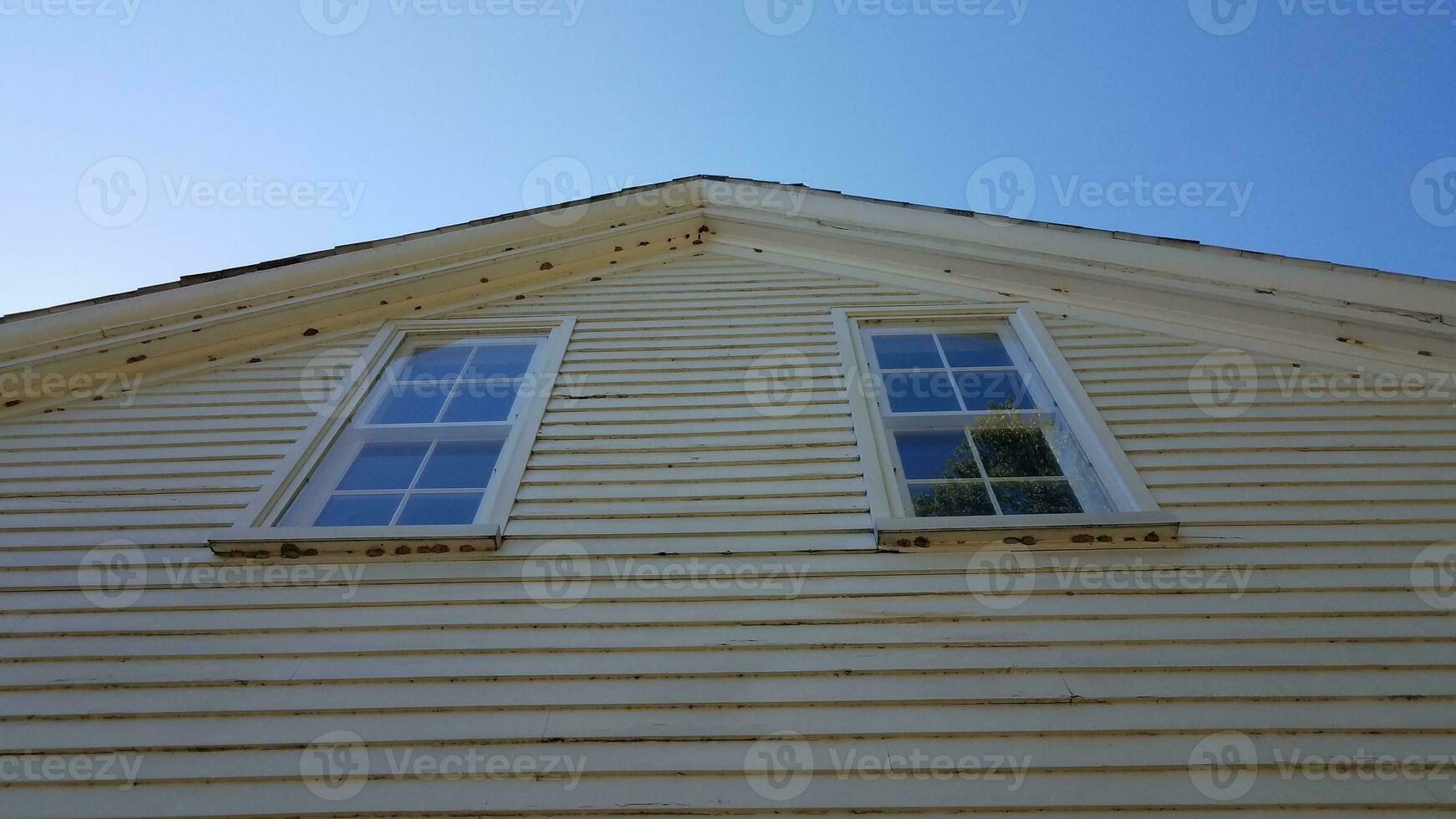 house siding with windows and mud wasp nests photo