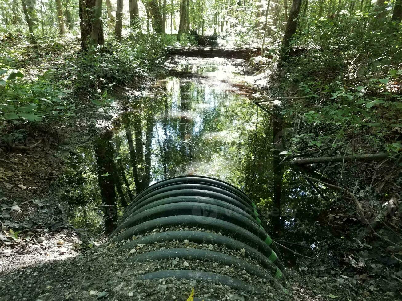 tubería negra y agua y árboles en bosques o bosques foto