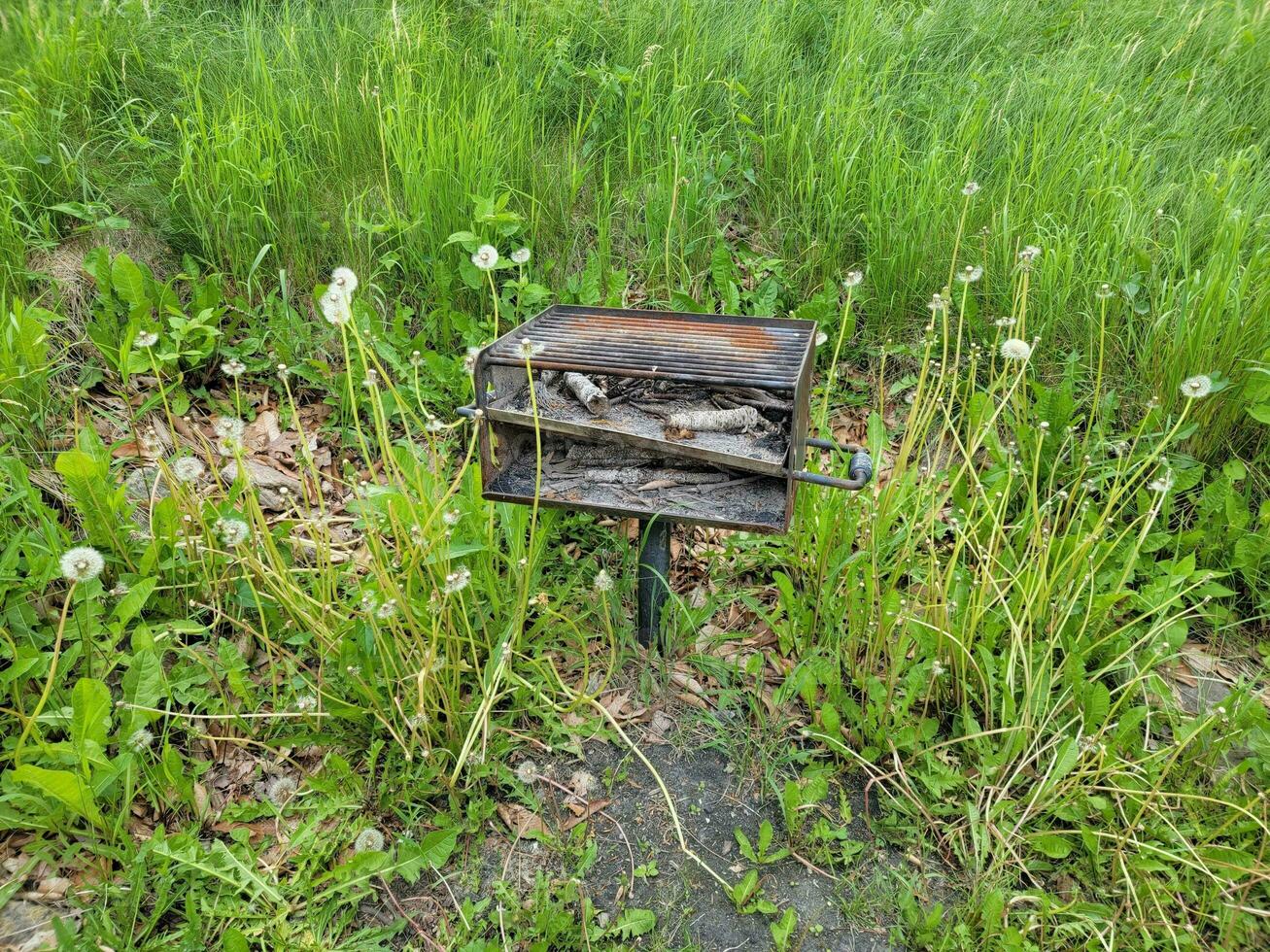 old barbecue grill with ashes and green weeds photo