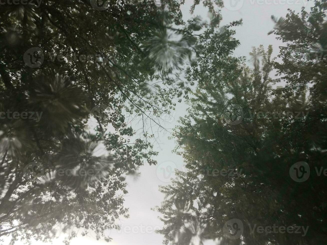 view of trees and sky through glass with rain photo