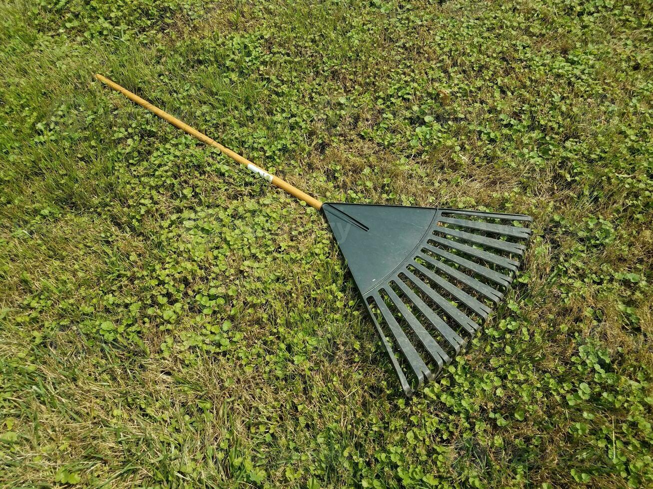 black plastic leaf rake on green grass or lawn photo