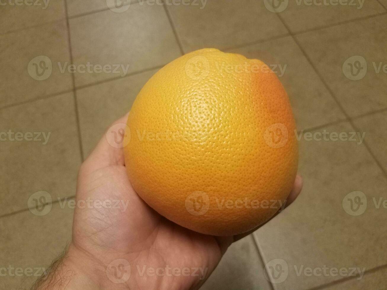 hand holding large orange grapefruit over brown tile floor photo