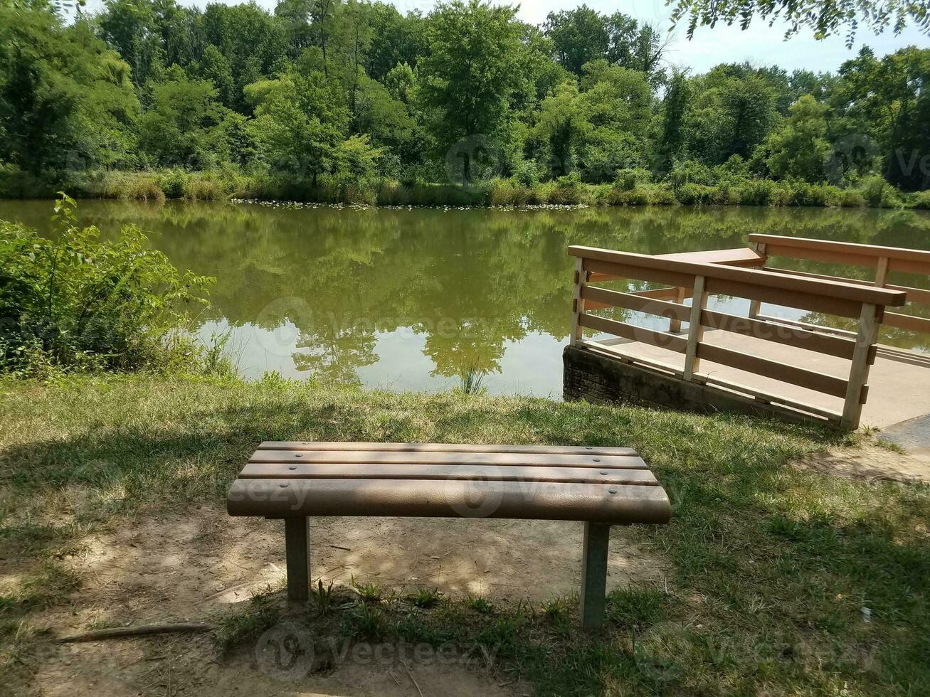 bench overlooking a pond photo