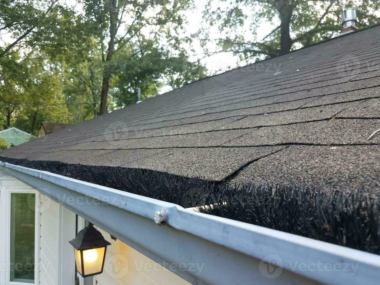 black pipe cleaner in cleaned gutter with roof of house photo