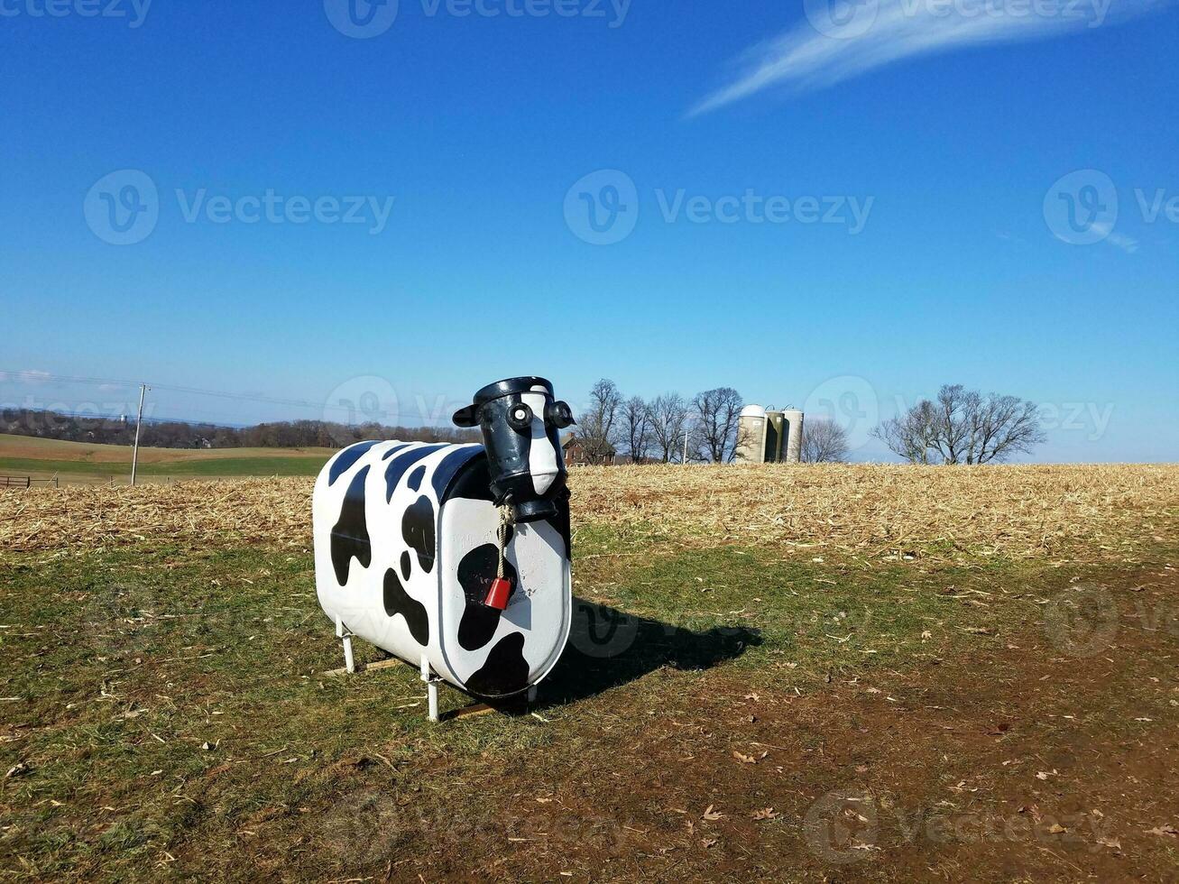 black and white cow with red bell made from metal in field photo