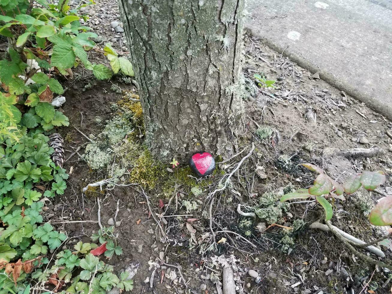 black rock with red heart at base of tree trunk photo