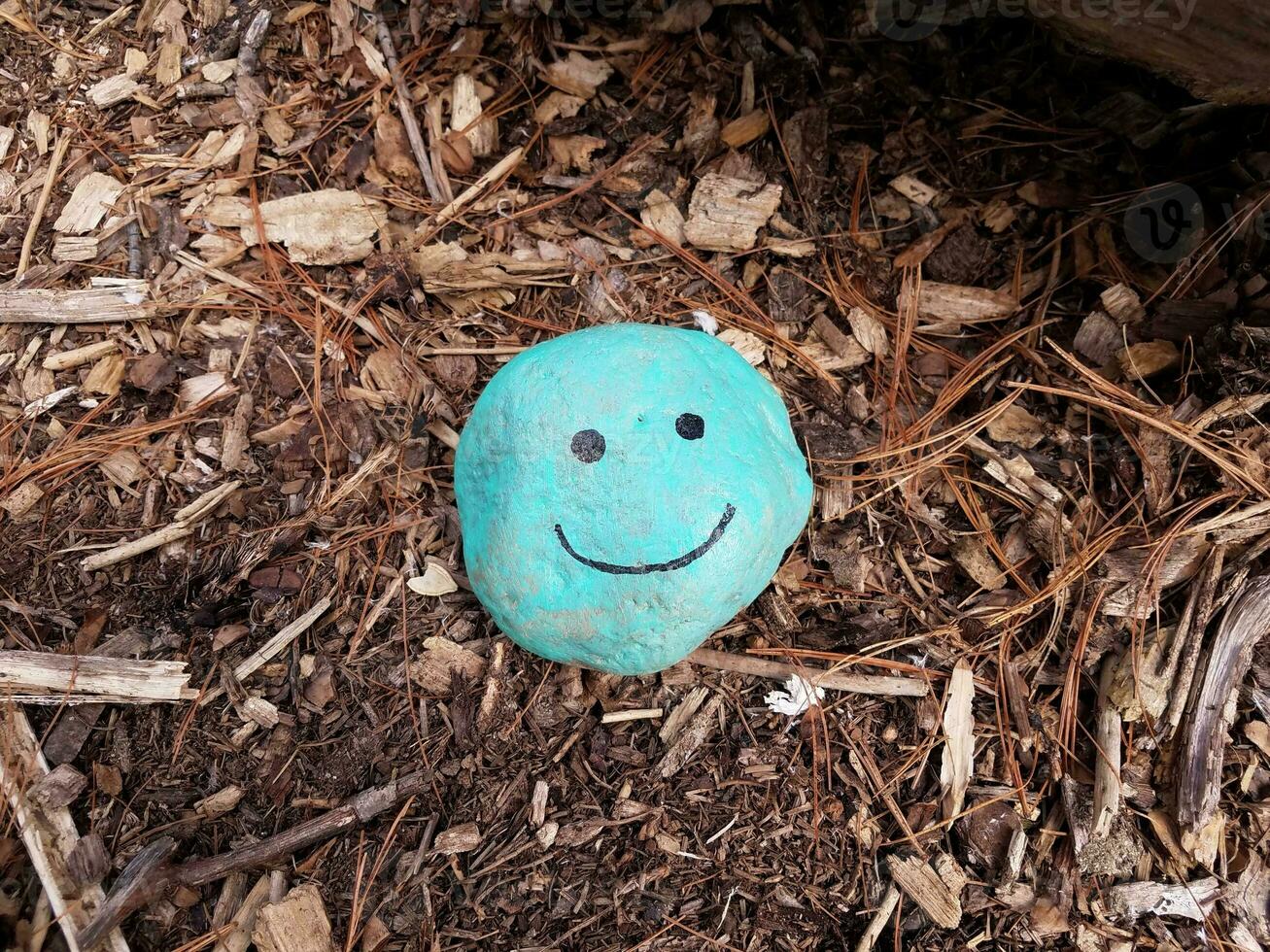 blue face with smile on rock and brown mulch photo
