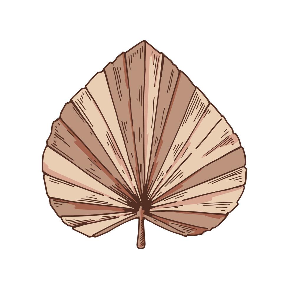 Hand drawn modern floristic design element. Dried palm tree leaf isolated on white. Vector illustration in sketch style