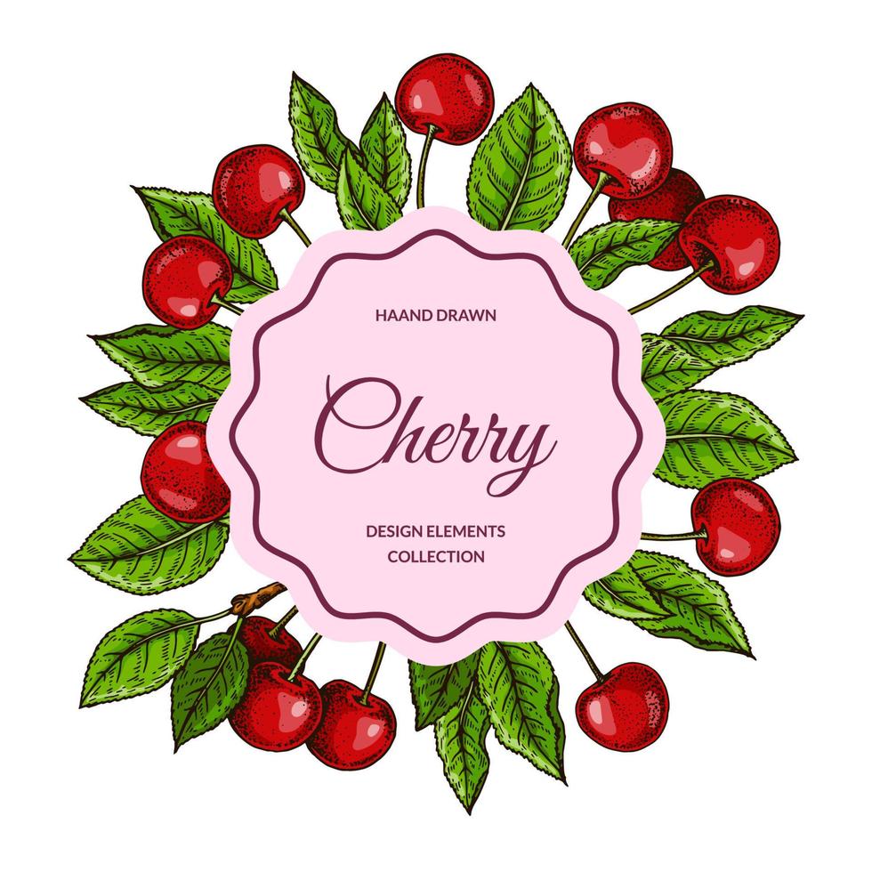 Colorful square cherry design. Vector illustration in colored sketch style