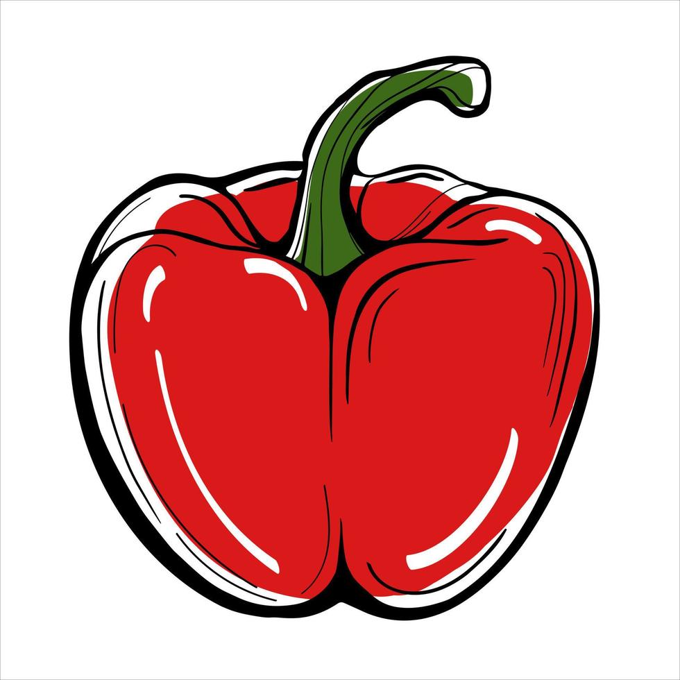 pimiento rojo pintado sobre un fondo blanco vector