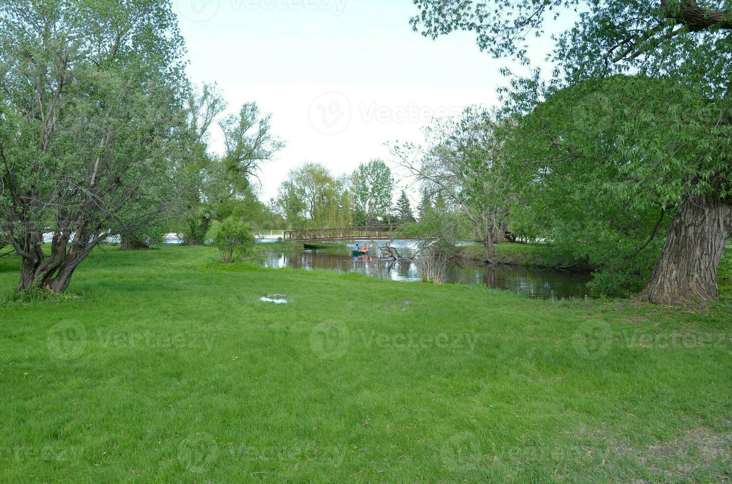 river with kayakers and green grass and trees photo