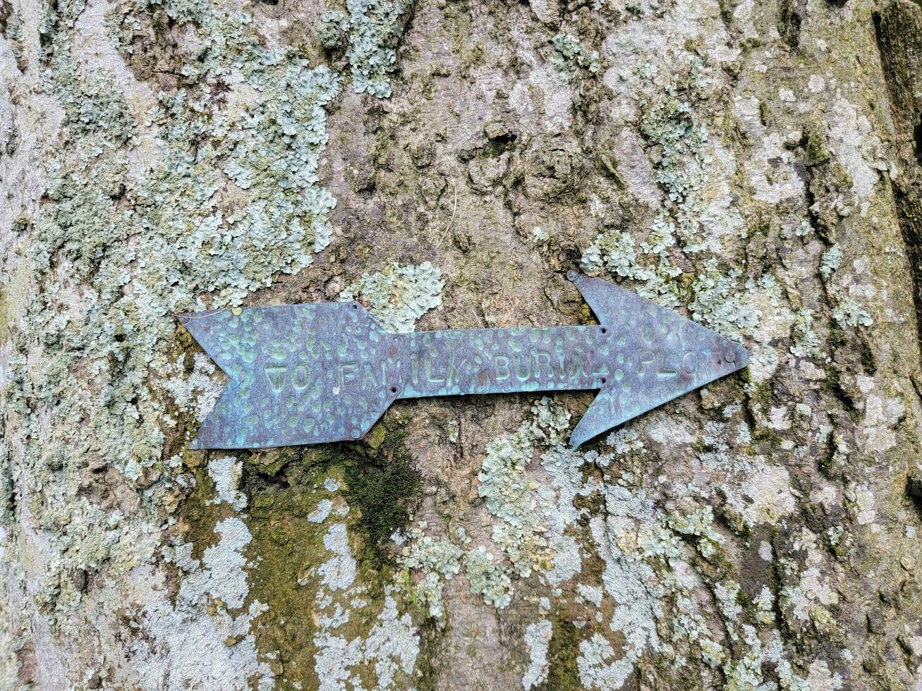 metal to family burial plot arrow on tree bark photo