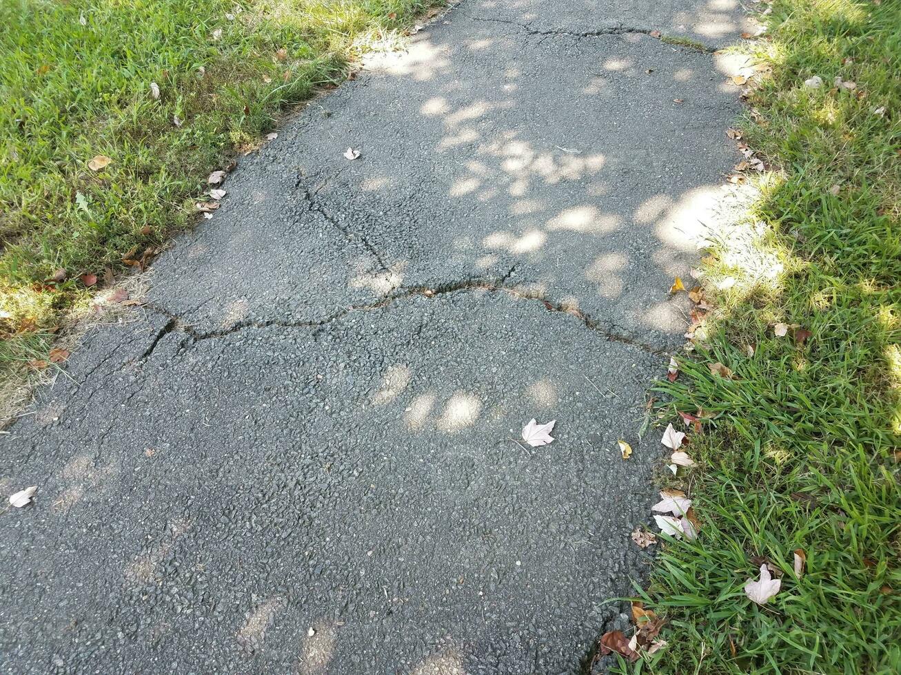 cracked asphalt path photo