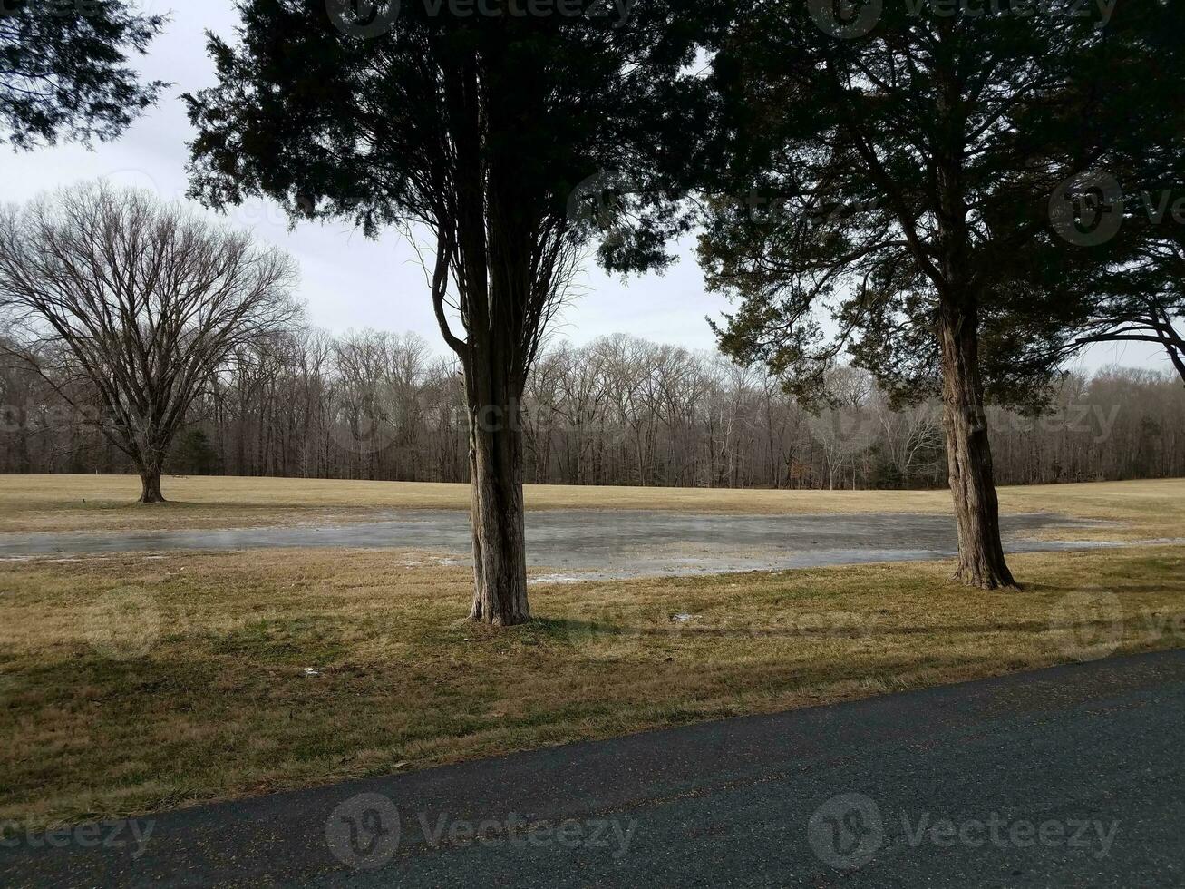 ice and water in grass field with trees and road photo