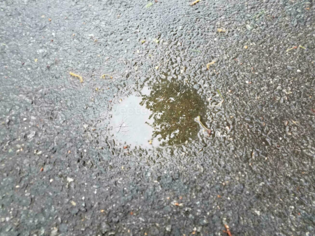 black asphalt with small water puddle with reflection photo