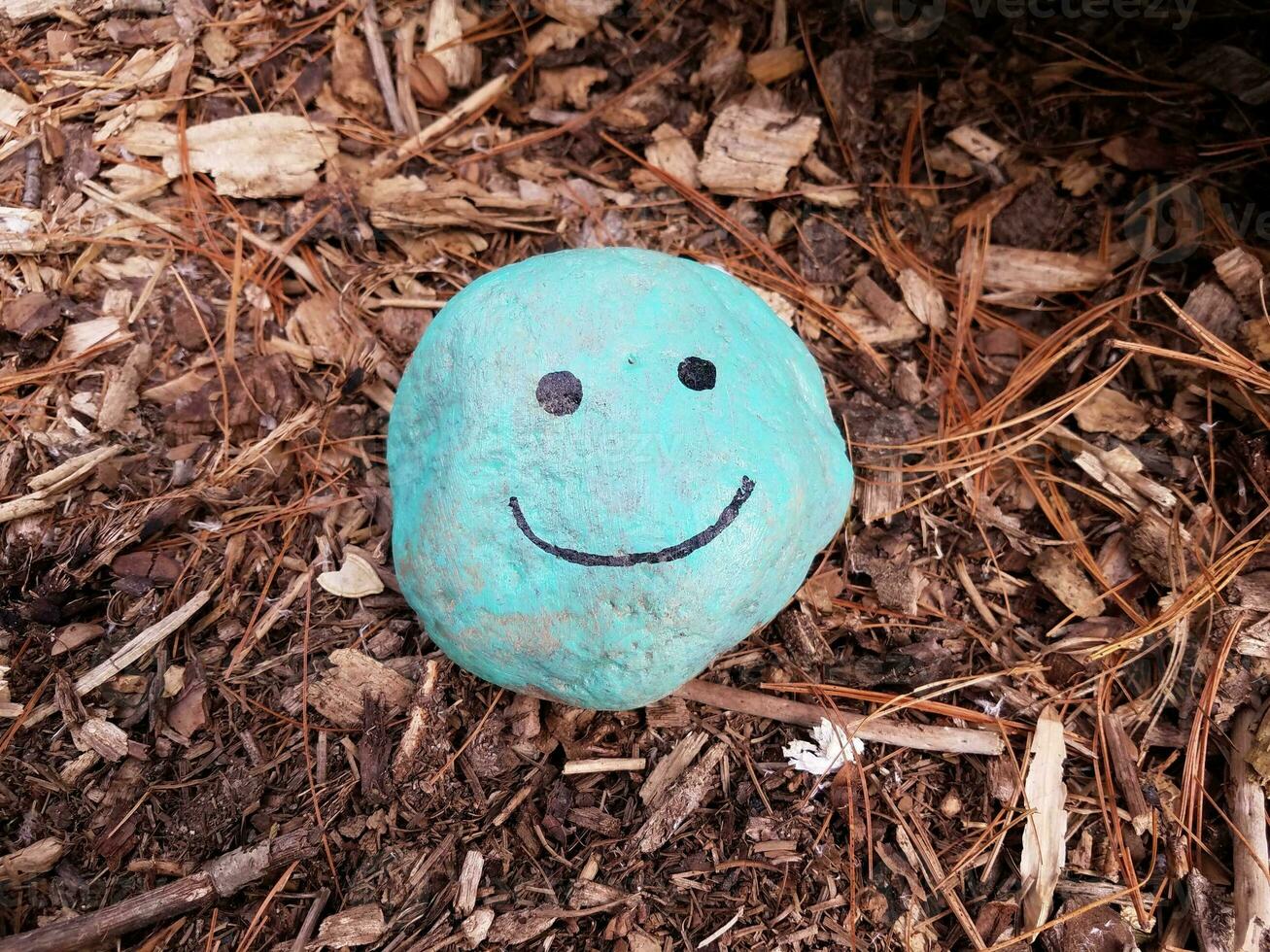 blue face with smile on rock and brown mulch photo