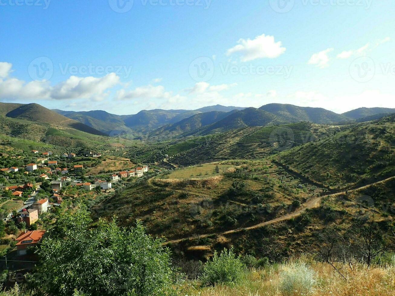 casas en colinas con plantas y pastos y árboles foto