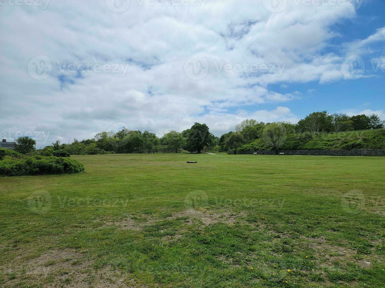 man laying down or sleeping in green grassy field photo