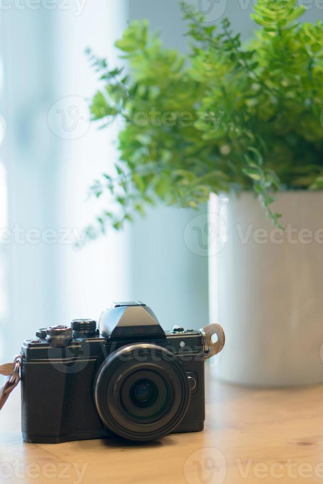 flower pot and retro camera. photo