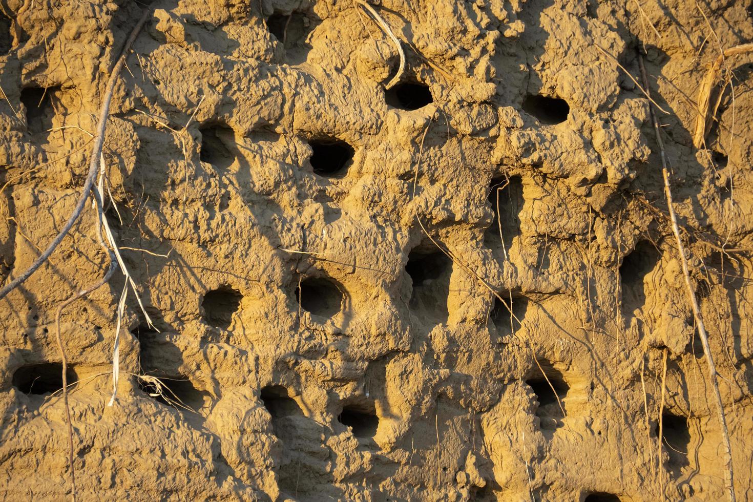 Swallows' nests in the sheer mountain photo