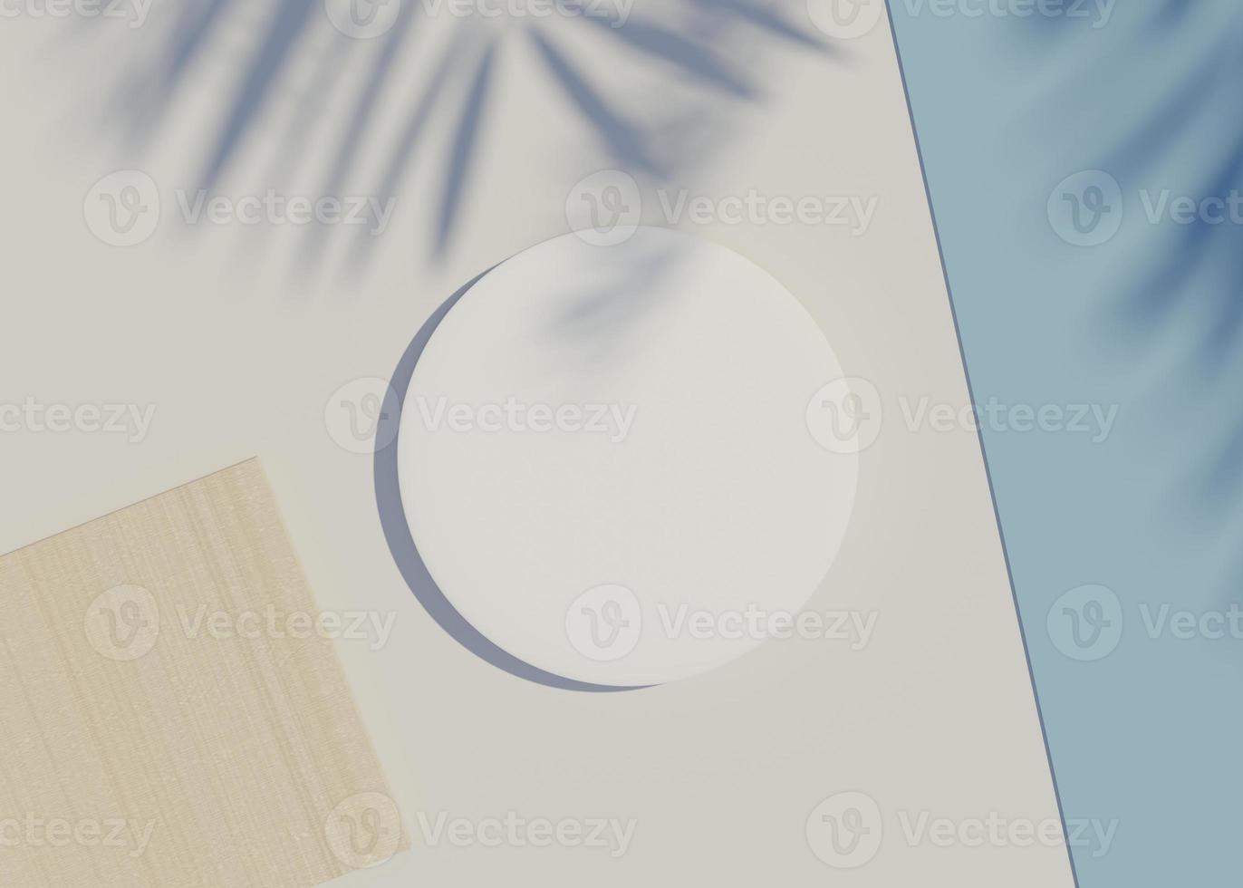 3d render top view of white blank cylinder frame for mock up and display products with shadows of palm leaves and white blue background. photo