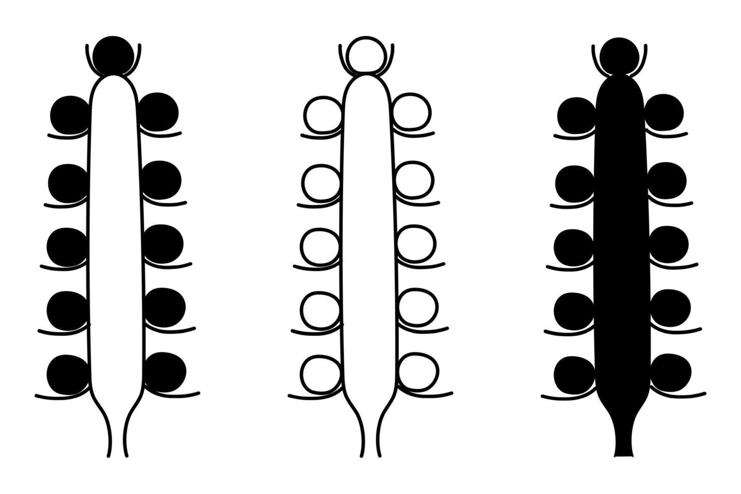 The outline of the silhouette of flower inflorescences in plants on the stem. Vector isolated