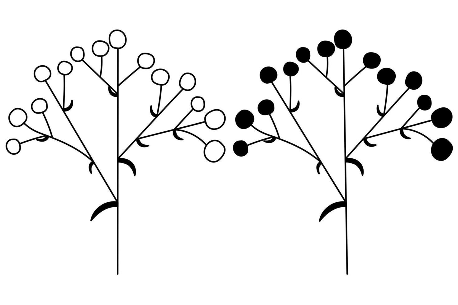The outline of the silhouette of flower inflorescences in plants on the stem. Vector isolated