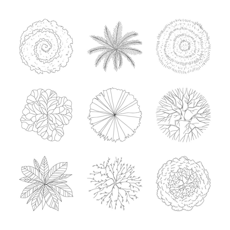 Outlined Tree Plan Top View Set vector