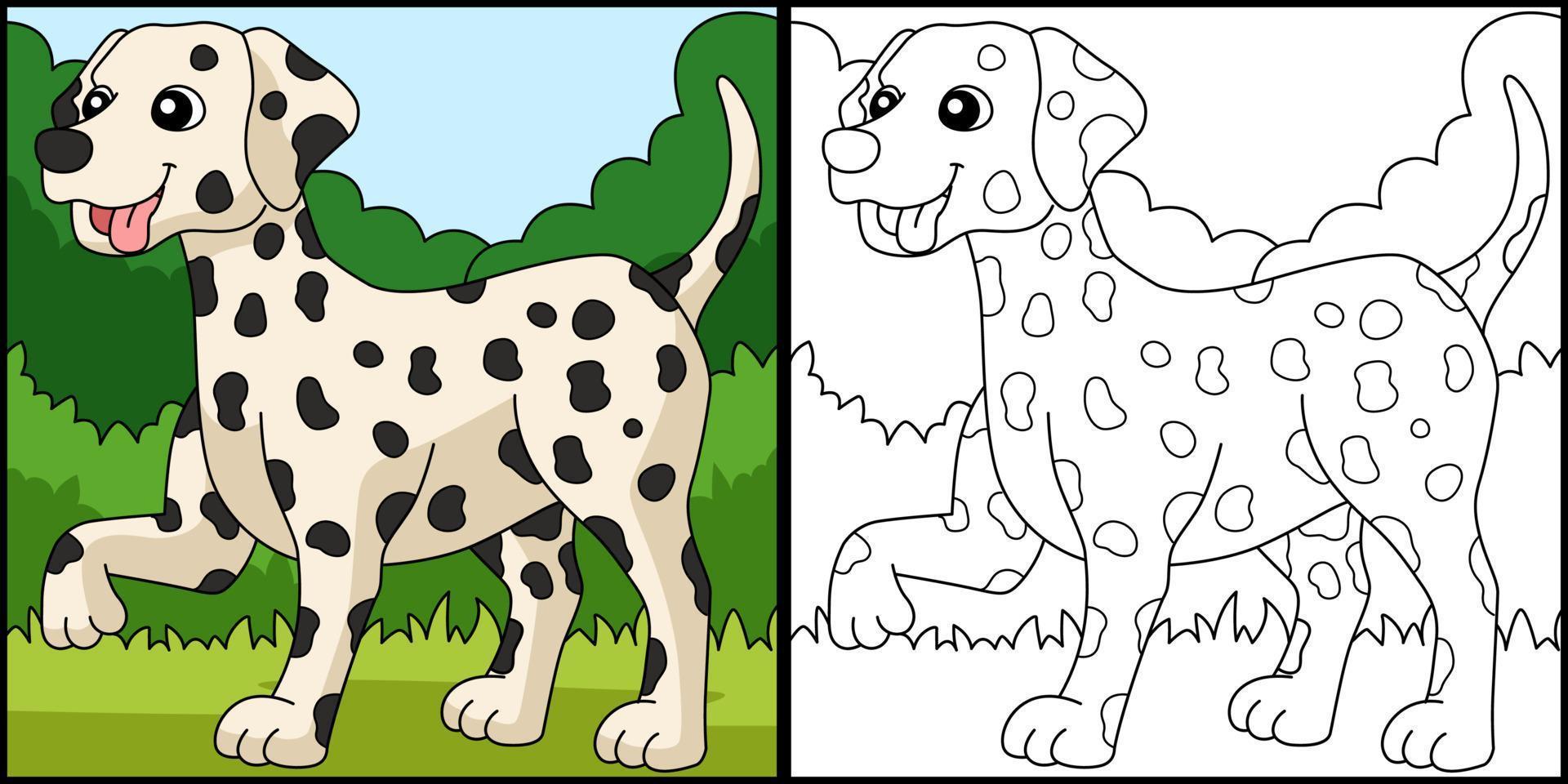 Dalmatian Dog Coloring Page Colored Illustration vector