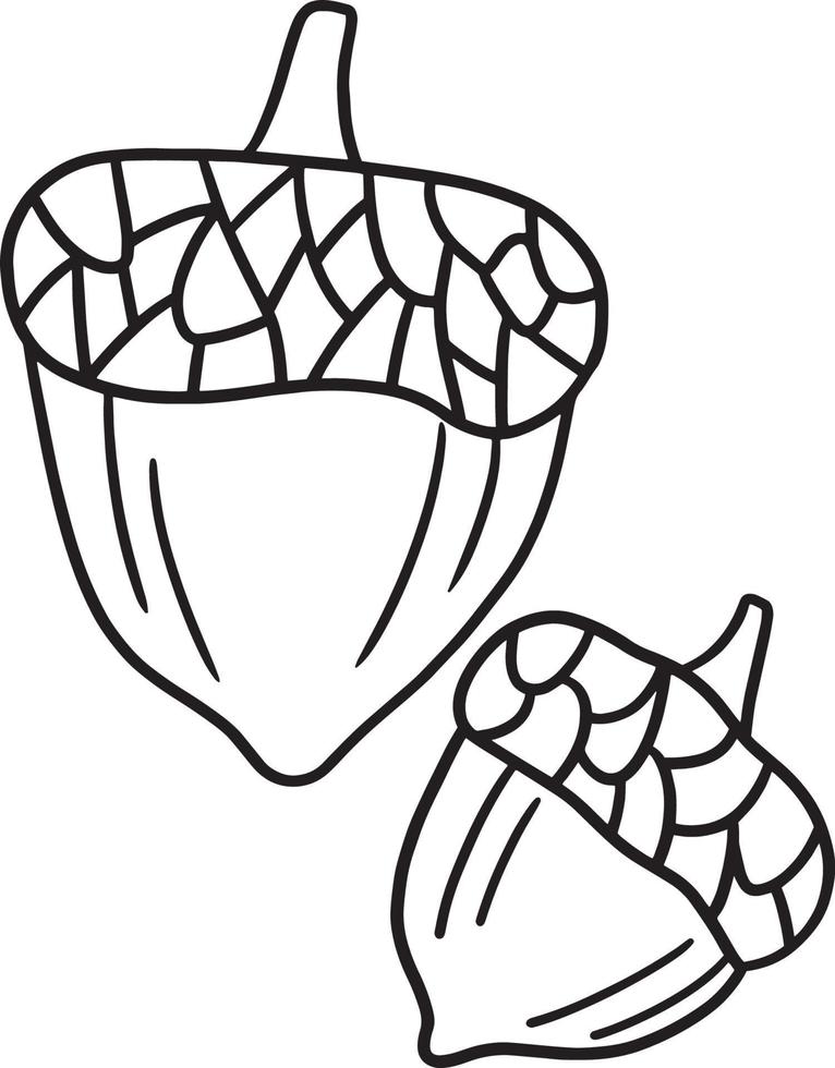 Thanksgiving Acorn Isolated Coloring Page for Kids vector
