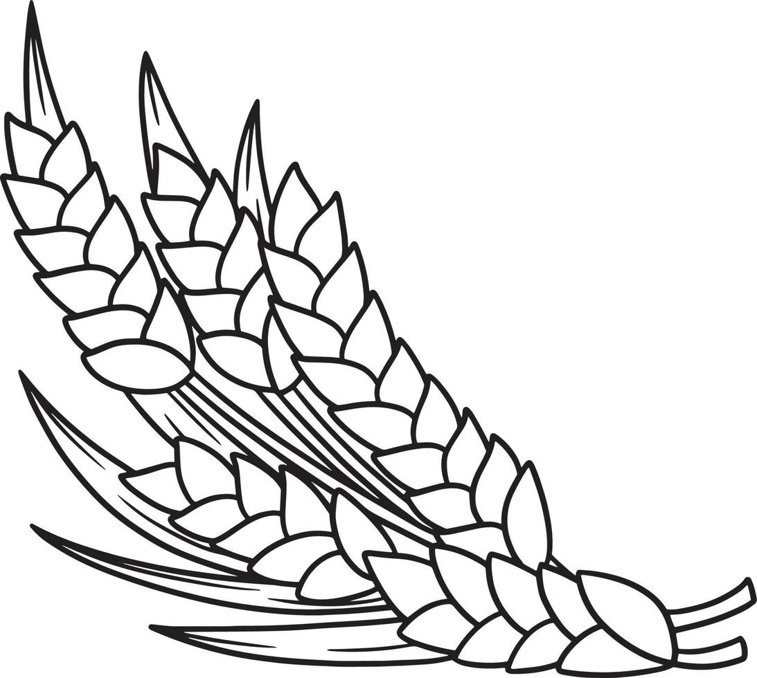 Thanksgiving Harvest Wheat Isolated Coloring Page vector